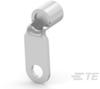 Ring Terminals - 1958536-1 - TE Connectivity