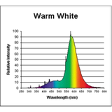 F13T5/WARM WHITE