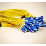 SM Premise Trunk Cables