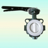 Butterfly Valve -- LD 006-BT/PTFE
