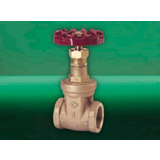 D151X Gate Valve