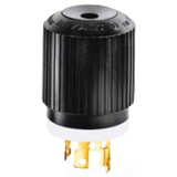 Locking Device Plug -- 71530NP