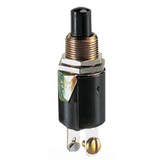 Specialty Pushbutton Switch -- 76020PS