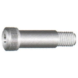 Socket Head Shoulder Screws