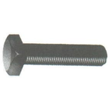 Square Head Tap Bolts
