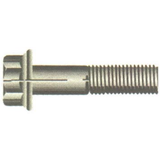 12 Point Flange Bolts
