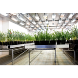 Conviron Growth House
