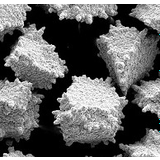 Borazon® Mesh CBN -- Resin Bond System